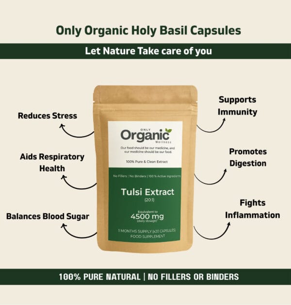 Holy Basil (Tulsi) Extract Capsules – 4500mg - Image 4