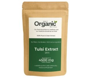 holy basil capsules